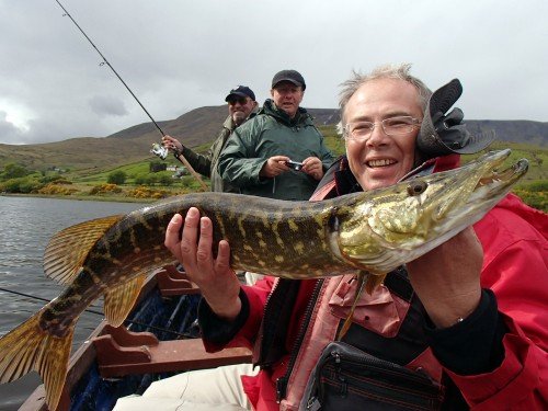 brochet-du-connemara