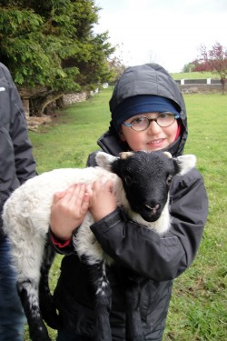 Théo avec un bébé mouton dans ses bras en Irlande.