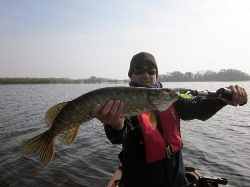 Brochet du lac Mask en Irlande