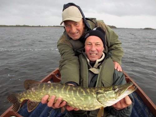 Brochet du lac Carra en Irlande.