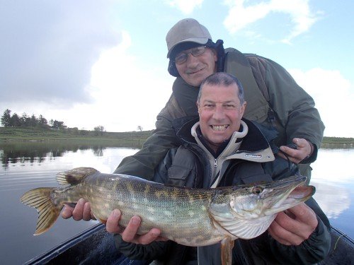 Brochet de Castlebar en Irlande.