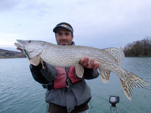 Un gros brochet au Gulp!