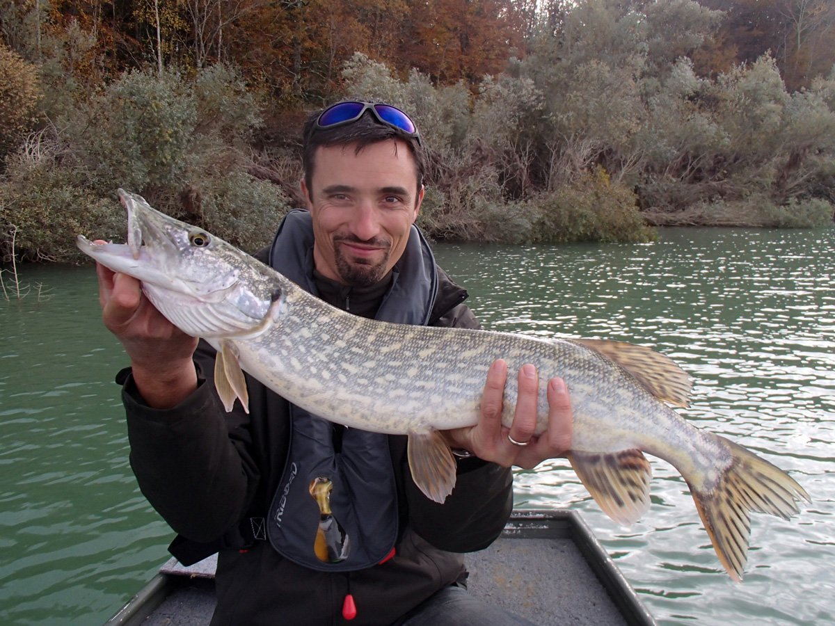 Comment pêcher le carnassier dans la Garonne ? - Toulouse Infos