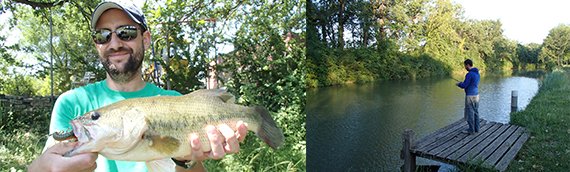 Black-bass Haute Garonne