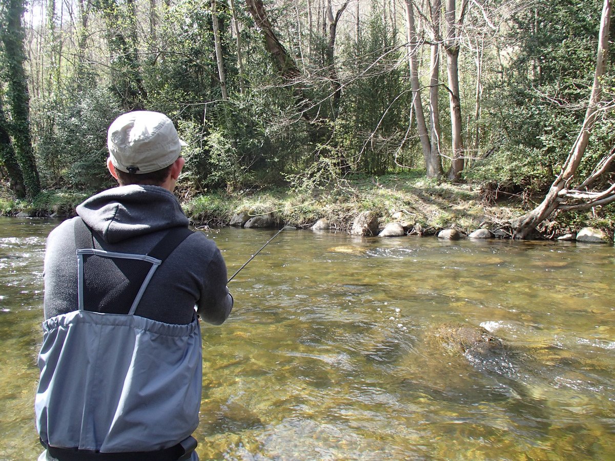 peche truite zone 01