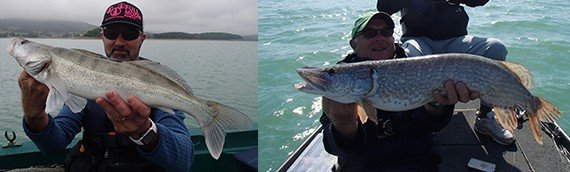 Six pêcheurs lyonnais…