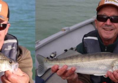 Montage d'une image à partir de deux photos du même pêcheur, avec un sandre à droite et avec une perche à gauche.