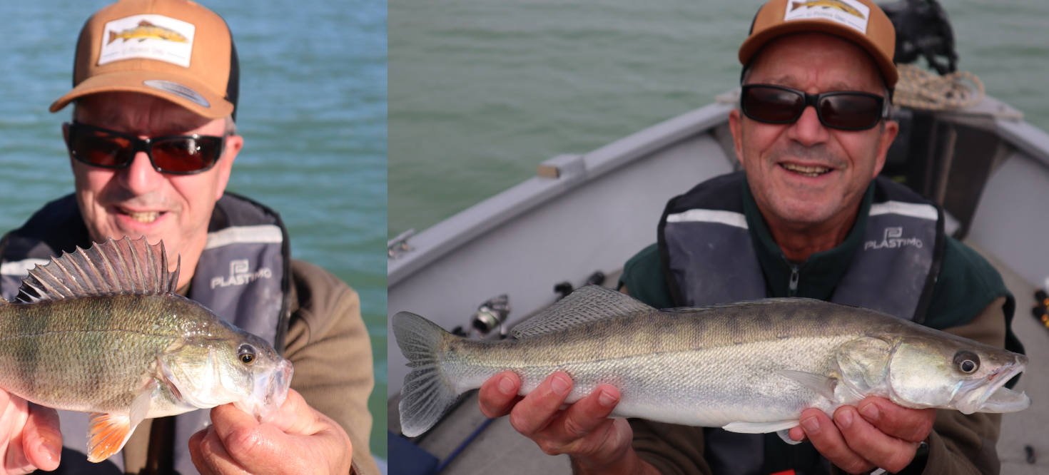 Montage d'une image à partir de deux photos du même pêcheur, avec un sandre à droite et avec une perche à gauche.